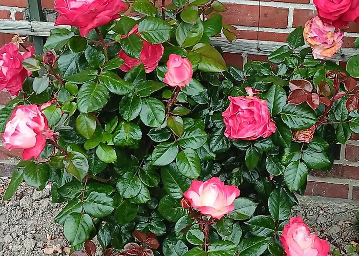 Hafennaehe Apartamento