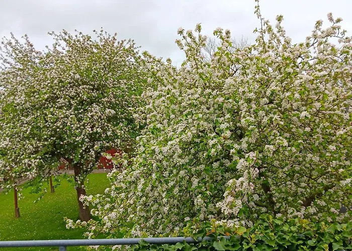 Hafennaehe Apartamento Pellworm